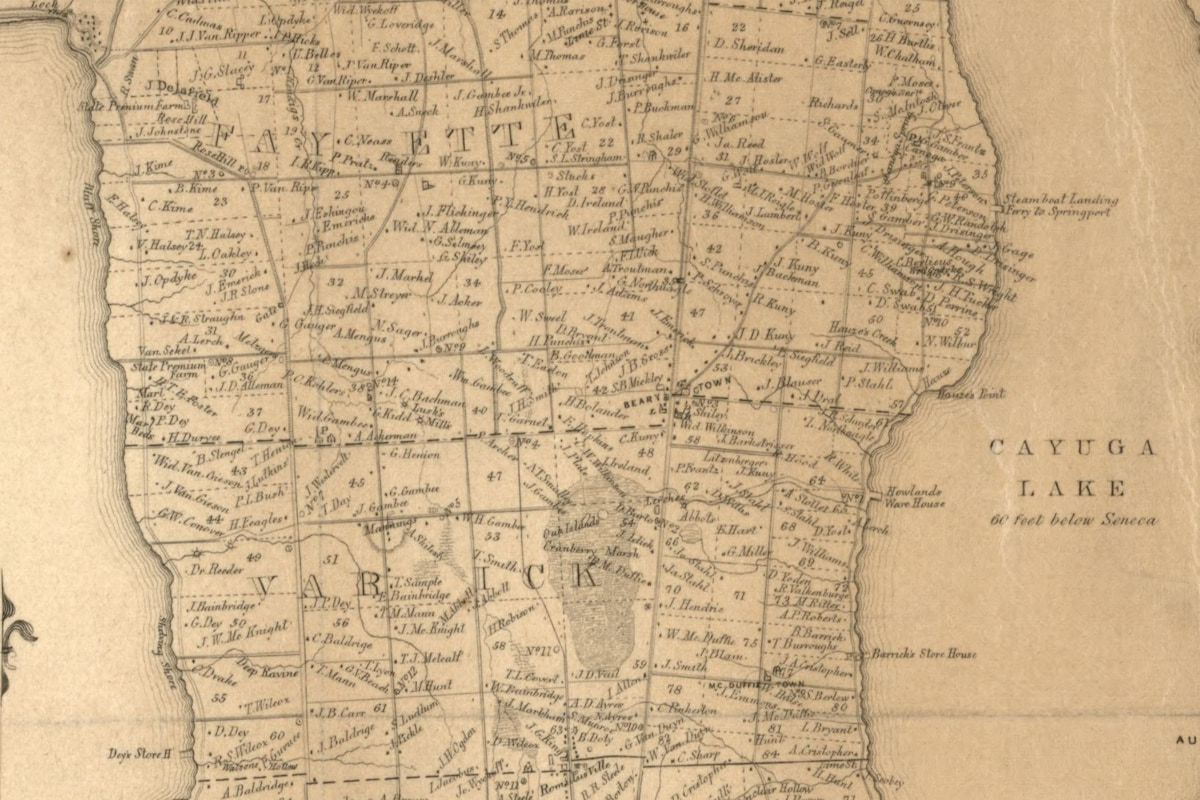 Detail from the 1850 Seneca County map