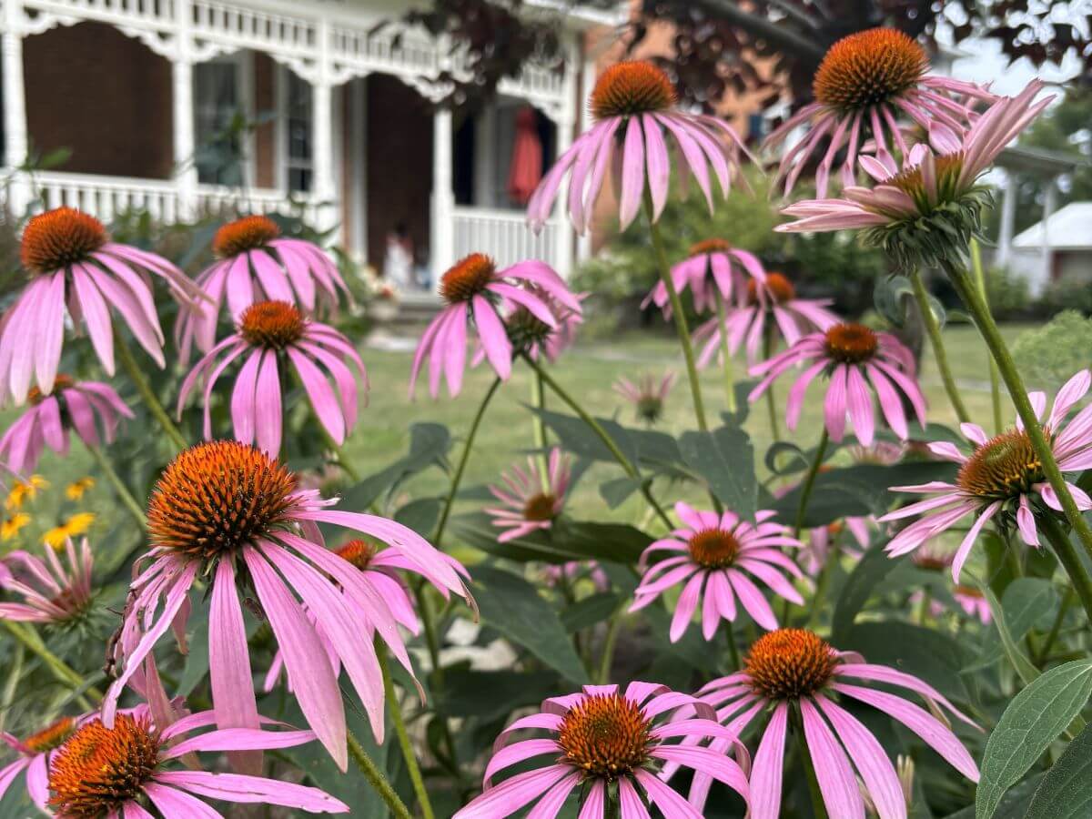 Garden on the Woodruff Manor estate grounds