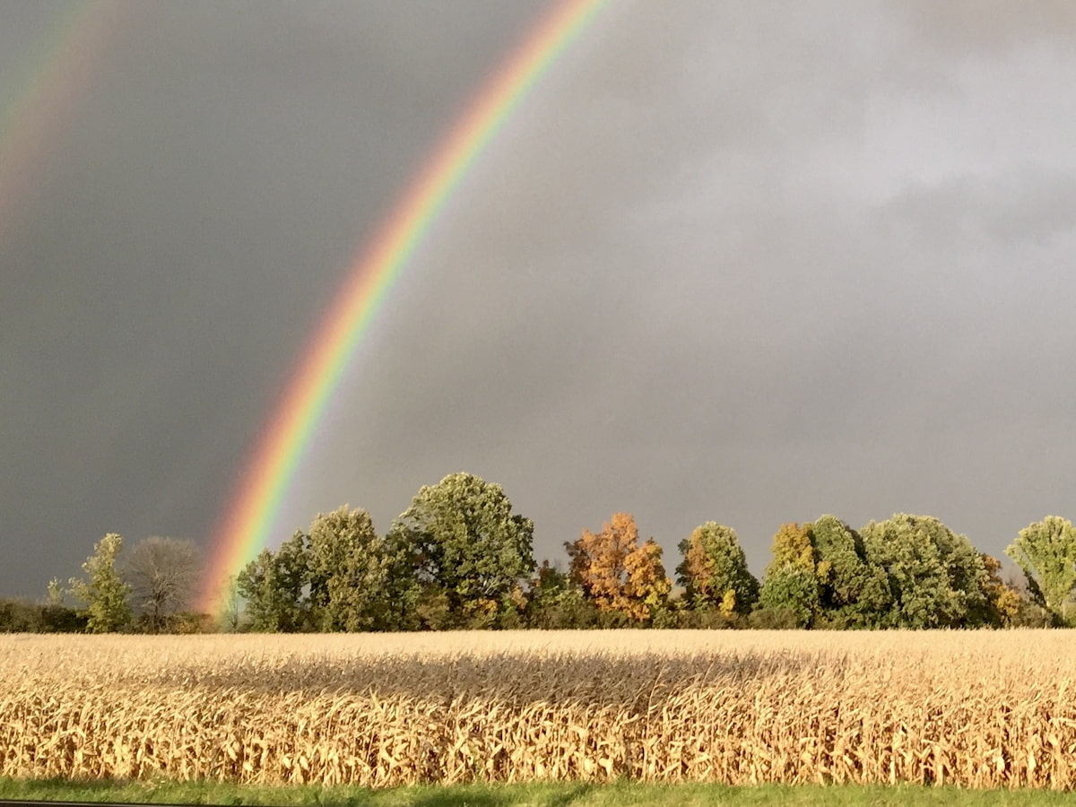 Grounds at Woodruff Manor